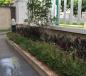 Chính chủ bán biệt thự đợn lập Hoa Sữa 8, diện tích 315m2, có sông - hướng đông nam, dự án Vinhomes Long Biên - Hà Nội Chính chủ bán biệt thự đợn lập Hoa Sữa 8, diện tích 315m2, có sông - hướng đông nam, dự án Vinhomes Long Biên - Hà Nội