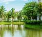 Chính chủ bán cắt lỗ sâu biệt thự Hoa Sữa 04 dự án Vinhomes Riverside Long Biên Chính chủ bán cắt lỗ sâu biệt thự Hoa Sữa 04 dự án Vinhomes Riverside Long Biên