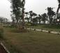 Bán đất nền dự án khu đô thị Phú Cát City, Thạch hoà, KCNC Hoà Lạc Bán đất nền dự án khu đô thị Phú Cát City, Thạch hoà, KCNC Hoà Lạc