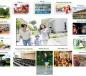 Eurowindow River Park chung cư cao cấp giá bình dân, chỉ từ 17 tr/m2, LS 0%, LH: 0946 993 933 Eurowindow River Park chung cư cao cấp giá bình dân, chỉ từ 17 tr/m2, LS 0%, LH: 0946 993 933