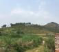 Bán gấp 14400m đất trang trại tại Xuân Mai Hà Nội LH 0936.166.941 Bán gấp 14400m đất trang trại tại Xuân Mai Hà Nội LH 0936.166.941