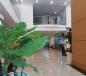 Hơn 30tỷ Khách sạn phố Trần Hưng Đạo 100m2,thu nhập khủng/thg Hơn 30tỷ Khách sạn phố Trần Hưng Đạo 100m2,thu nhập khủng/thg