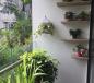 Những lý do bạn nên sở hữu viên ngọc “Vàng” Green Pearl ngay thời điểm này Những lý do bạn nên sở hữu viên ngọc “Vàng” Green Pearl ngay thời điểm này