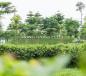 Bán căn hộ chung cư tại Dự án Hồng Hà Eco City, diện tích 85m2 3 ngủ giá chỉ 1,6 tỉ Bán căn hộ chung cư tại Dự án Hồng Hà Eco City, diện tích 85m2 3 ngủ giá chỉ 1,6 tỉ