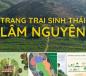 Trang Trại Sinh Thái Lâm Nguyên, Sổ riêng, giá hâp dẫn 580tr/4000m2 Trang Trại Sinh Thái Lâm Nguyên, Sổ riêng, giá hâp dẫn 580tr/4000m2