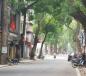 Cho thuê nhà mặt phố Hàng Bông, Quận Hoàn Kiếm, Hà Nội. Cho thuê nhà mặt phố Hàng Bông, Quận Hoàn Kiếm, Hà Nội.